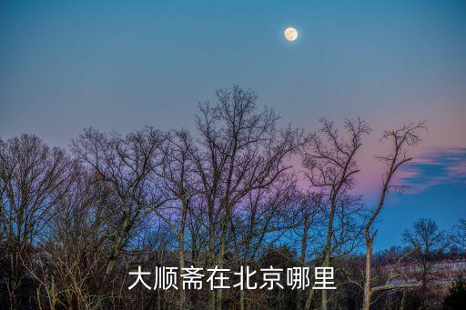 大順齋，大順齋食品店怎么樣