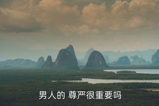 男人的尊嚴(yán),面子，尊嚴(yán)是男人一生的一半目標(biāo)