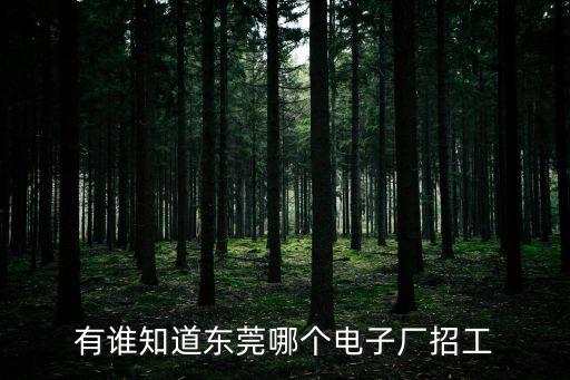 有誰(shuí)知道東莞哪個(gè)電子廠招工