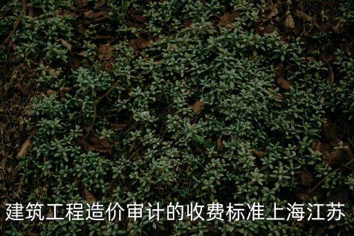 建筑工程造價審計的收費標準上海江蘇