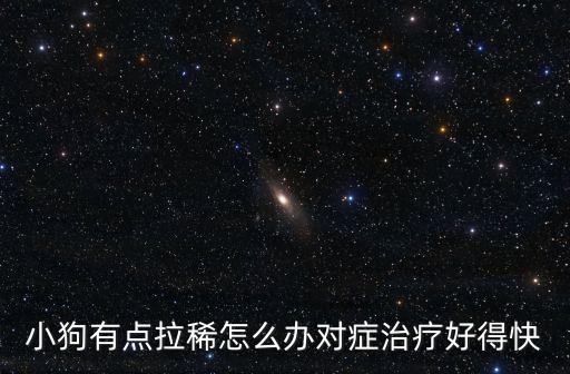 小狗拉稀，狗狗拉稀怎么辦