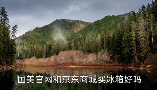國美網(wǎng),網(wǎng)購冰箱價(jià)格相差不大建議國美蘇寧