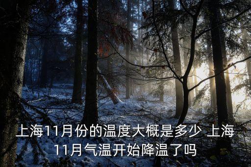 上海11月份的溫度大概是多少 上海11月氣溫開始降溫了嗎
