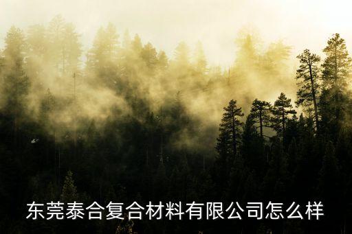 東莞泰合復合材料有限公司怎么樣