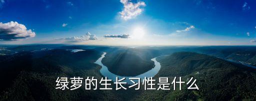 綠蘿的生活習(xí)性，綠蘿的生活習(xí)性是什么