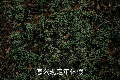 怎么規(guī)定年休假