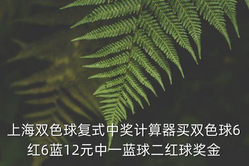 上海雙色球復式中獎計算器買雙色球6紅6藍12元中一藍球二紅球獎金
