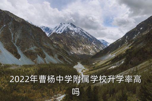 上海市曹楊中學(xué)高考錄取率，今年上海各市重點(diǎn)高中一本率各是多少啊
