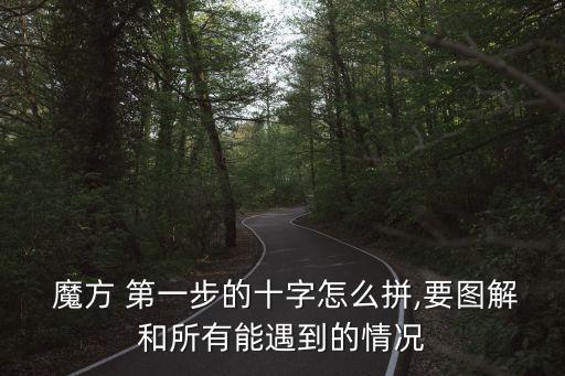  魔方 第一步的十字怎么拼,要圖解和所有能遇到的情況