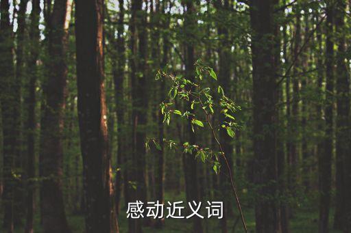 感動的近義詞，感動的的近義詞是什么