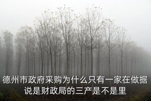 德州市政府采購為什么只有一家在做據說是財政局的三產是不是里