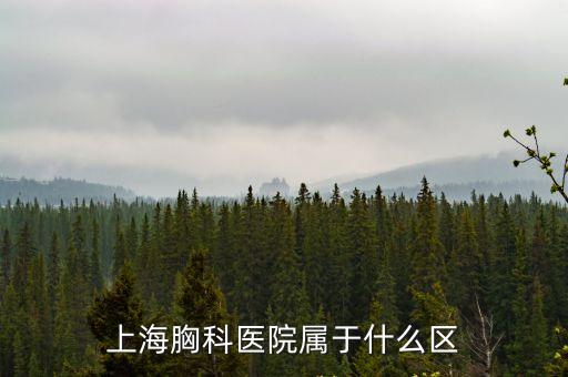 上海胸科醫(yī)院屬于什么區(qū)