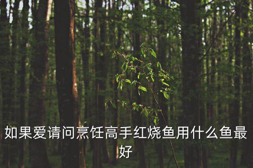 如果愛請問烹飪高手紅燒魚用什么魚最好