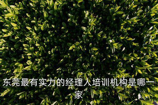 東莞最有實力的經理人培訓機構是哪一家
