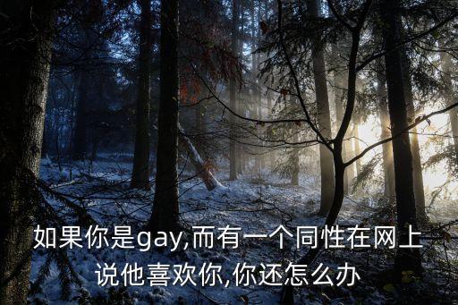 進入你的同在,如何進入職場?職場新規則