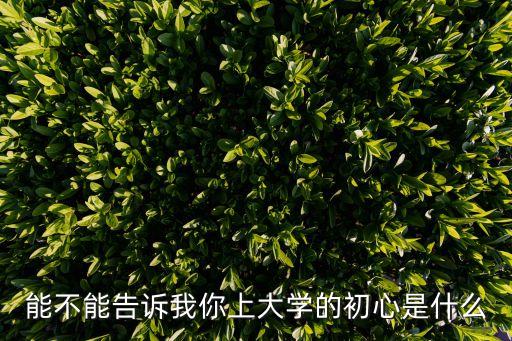 能不能告訴我你上大學(xué)的初心是什么