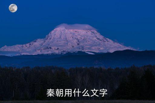 秦朝用什么文字