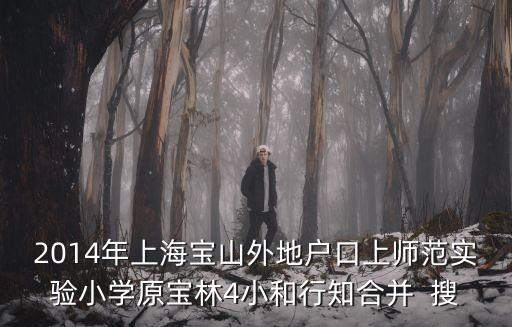 2014年上海寶山外地戶口上師范實驗小學原寶林4小和行知合并  搜