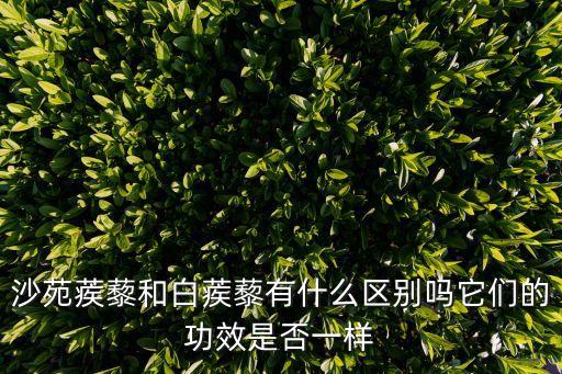 沙苑蒺藜，沙苑蒺藜和白蒺藜有什么區別嗎它們的功效是否一樣