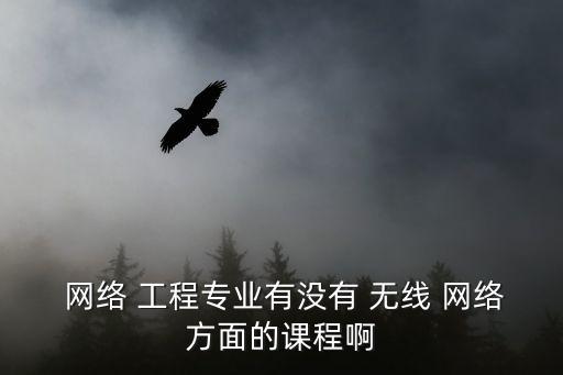  網絡 工程專業有沒有 無線 網絡方面的課程啊