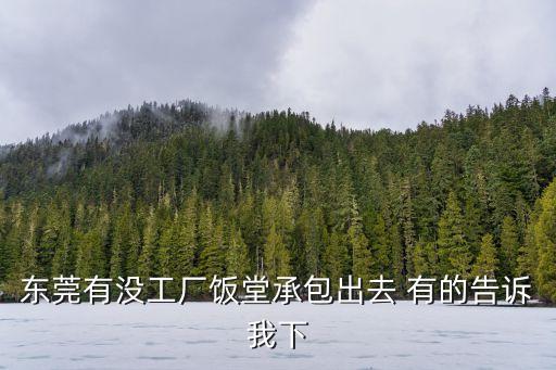 東莞有沒工廠飯?zhí)贸邪鋈?有的告訴我下