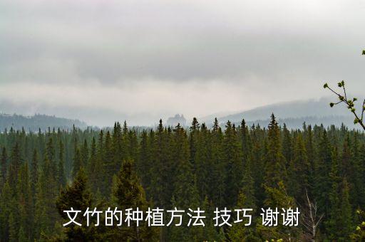 文竹的種植方法 技巧 謝謝