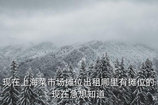 現(xiàn)在上海菜市場攤位出租哪里有攤位的現(xiàn)在急想知道