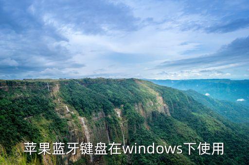 蘋果藍牙鍵盤，蘋果藍牙鍵盤在windows下使用