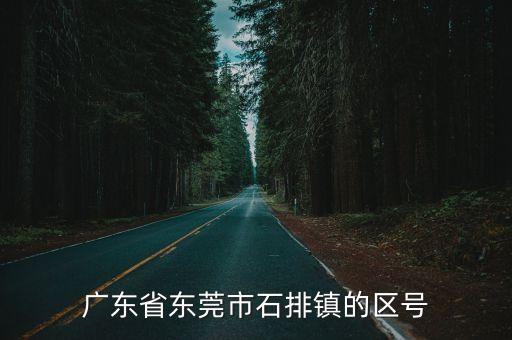 廣東東莞石排鎮(zhèn)黃家堡村長湖路，廣東東莞石排