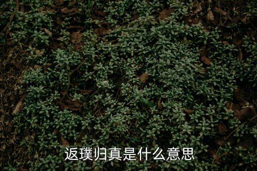 返璞歸真,返樸歸真道家修煉法門