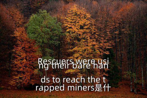 rescuers，Rescuers were using their bare hands to reach the trapped miners是什