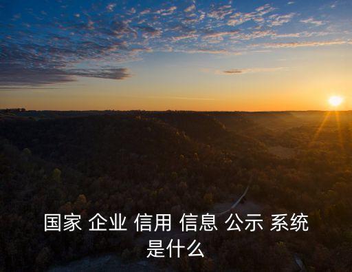 國(guó)家 企業(yè) 信用 信息 公示 系統(tǒng)是什么