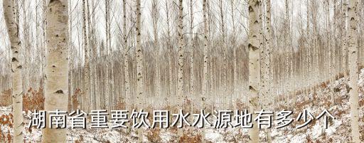湖南省重要飲用水水源地有多少個