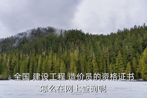  全國(guó) 建設(shè)工程 造價(jià)員的資格證書(shū)怎么在網(wǎng)上查詢呢