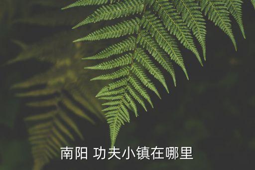 全球功夫網(wǎng),幕后花絮回顧