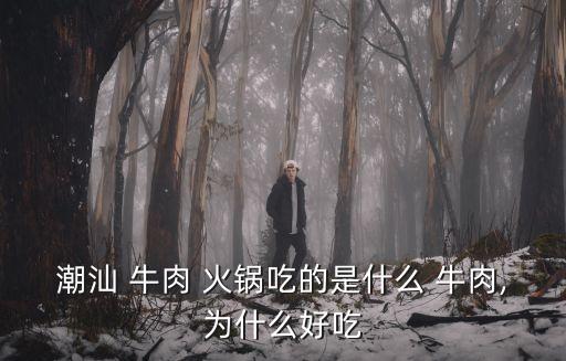 潮汕 牛肉 火鍋吃的是什么 牛肉,為什么好吃