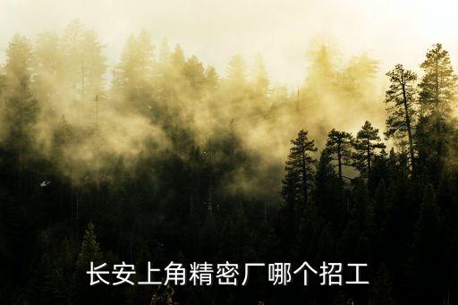 東莞長安上角精陽電子，有誰在東莞長安上角精陽電子廠工作啊