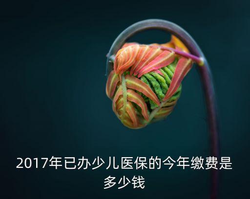 2017年已辦少兒醫保的今年繳費是多少錢
