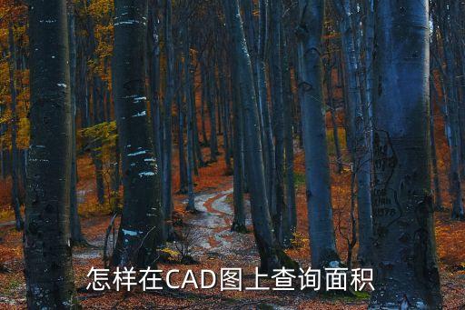 怎樣在CAD圖上查詢面積