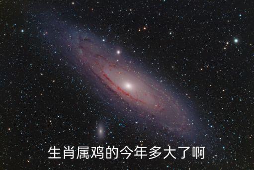 生肖屬雞的今年多大了啊