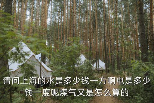 上海市商業用水標準，請問上海的水是多少錢一方啊電是多少錢一度呢煤氣又是怎么算的