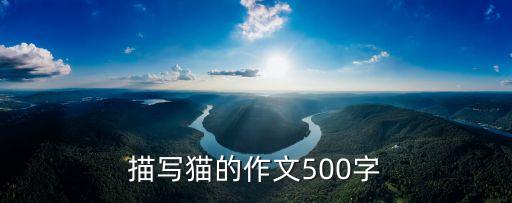 描寫貓的作文500字