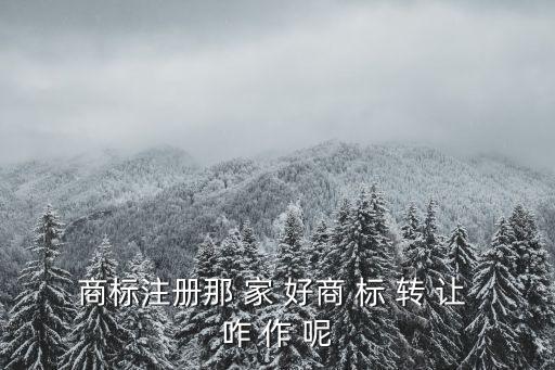 東莞商標轉讓哪家優惠，請問一下中藝商標網的商標轉讓優惠嗎
