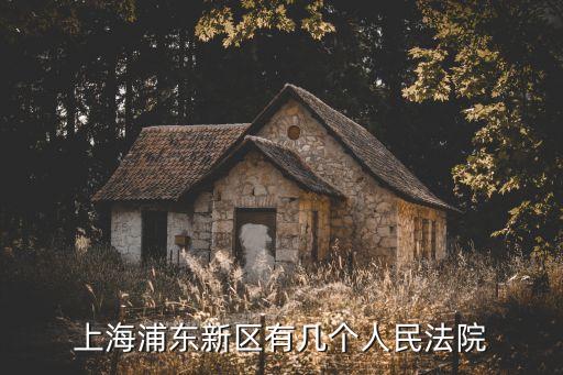 上海浦東新區有幾個人民法院
