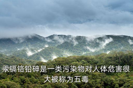 汞鎘鉻鉛砷是一類污染物對人體危害很大被稱為五毒
