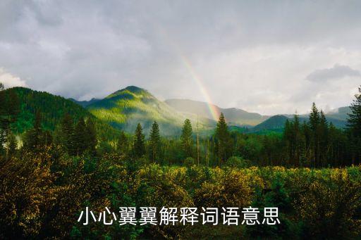 小心翼翼解釋詞語(yǔ)意思