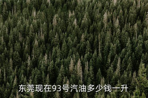 東莞現在93號汽油多少錢一升