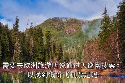 天巡廉價航空，需要去歐洲旅游聽說通過天巡網搜索可以找到低價飛機票是嗎