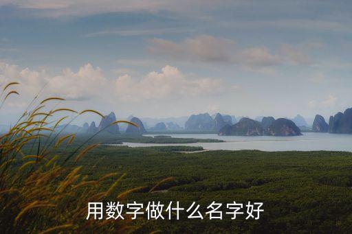 數(shù)字名字，用數(shù)字做什么名字好