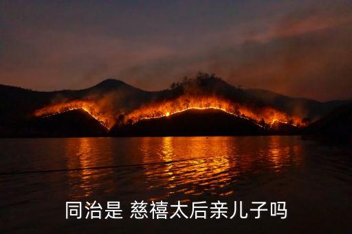 同治是 慈禧太后親兒子嗎